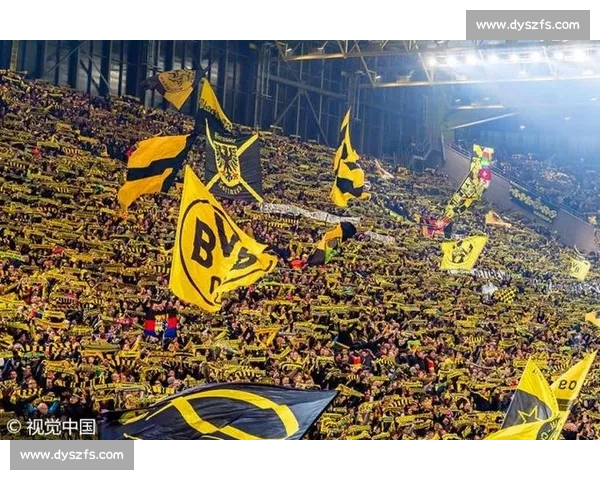 职业联赛发展新机遇与挑战分析:从市场扩展到球迷互动的全方位探讨 职业联赛发展新机遇与挑战分析:从市场扩展到球迷互动的全方位探讨